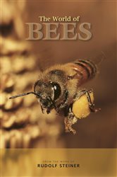 The World of Bees | Free Book