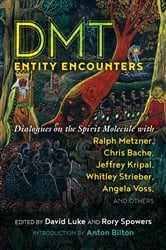 DMT Entity Encounters | Free Book