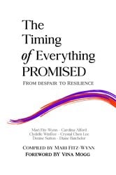 The Timing of Everything Promised Vol. 2 | Free Book