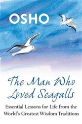 The Man Who Loved Seagulls | Free Book