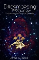 Decomposing The Shadow | Free Book