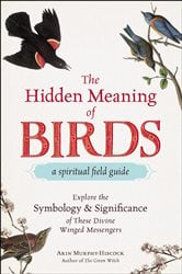 The Hidden Meaning of Birds--A Spiritual Field Guide | Free Book