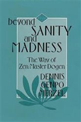 Beyond Sanity and Madness | Free Book