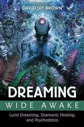 Dreaming Wide Awake | Free Book