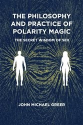 The Philosophy and Practice of Polarity Magic | Free Book