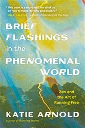 Brief Flashings in the Phenomenal World | Free Book