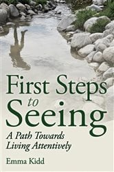 First Steps to Seeing | Free Book