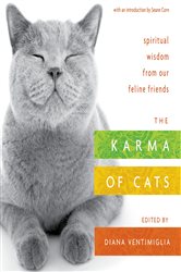 The Karma of Cats | Free Book