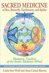 Sacred Medicine of Bee, Butterfly, Earthworm, and Spider | Free Book