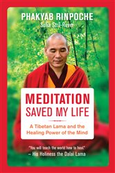 Meditation Saved My Life | Free Book