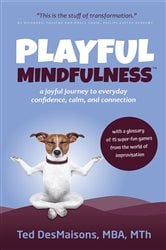 Playful Mindfulness | Free Book