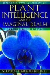 Plant Intelligence and the Imaginal Realm | Free Book