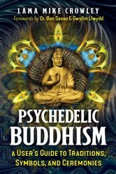 Psychedelic Buddhism | Free Book