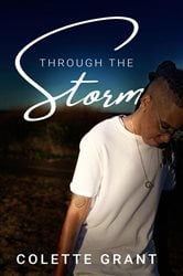 Through The Storm | Free Book