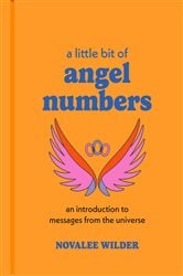 A Little Bit of Angel Numbers | Free Book